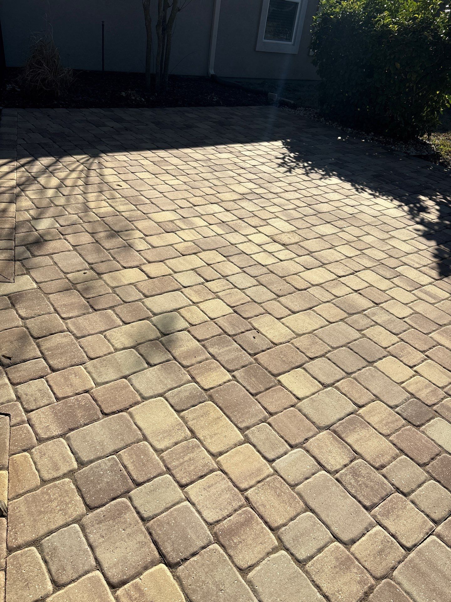 Pool Pavers using TopSeal and PolySand by DuraSeal