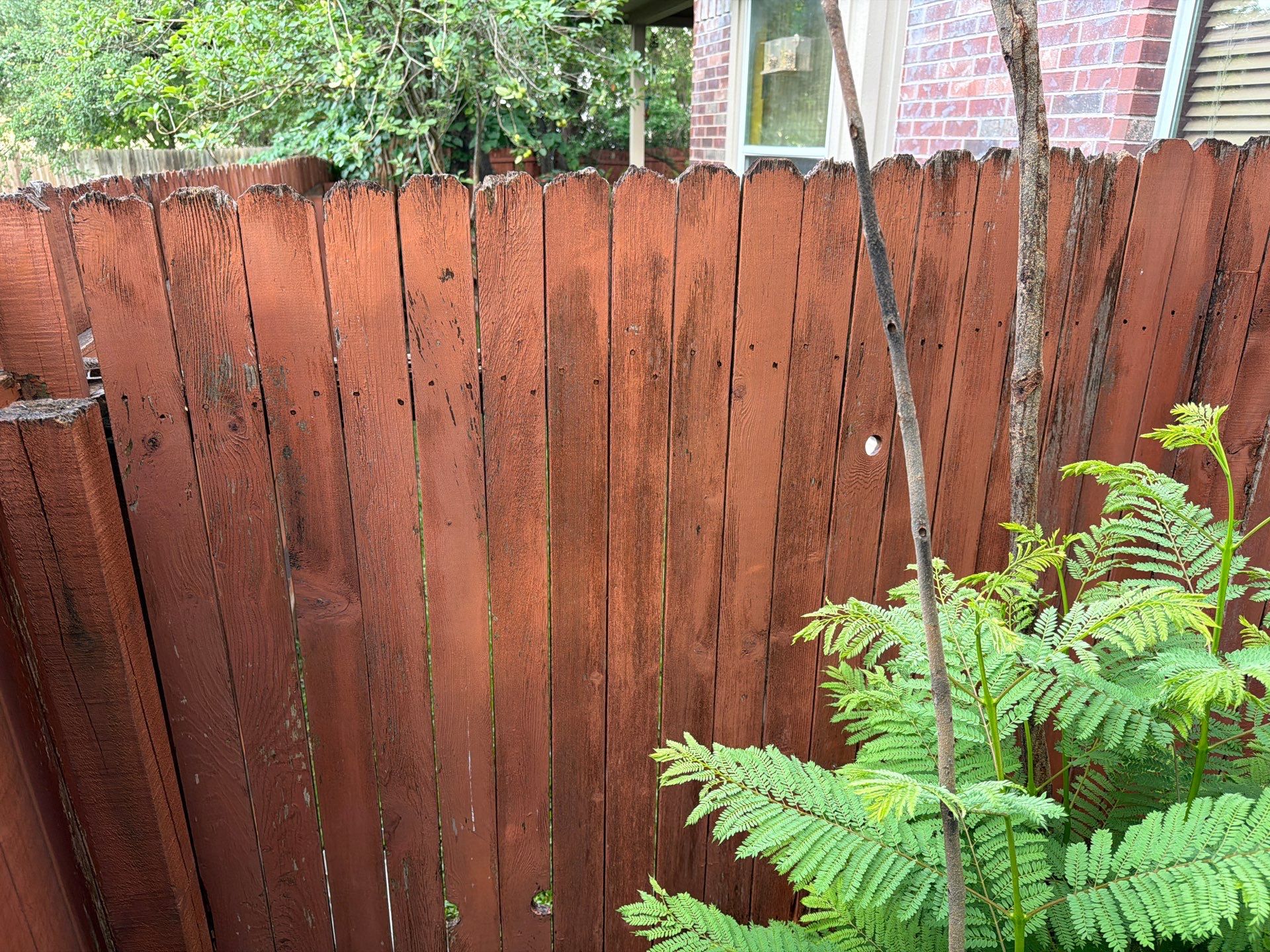 FRONT FENCE TRANSFORMATION! by Rhino Home Care