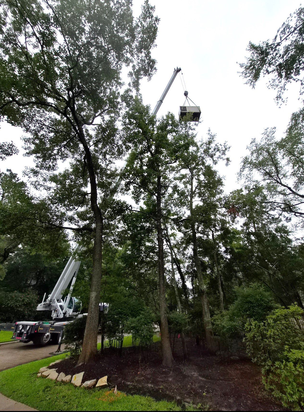 Turnkey KOHLER 30kW Standby Generator Relocation & Installation, The Woodlands, TX by GenTex Elite Services