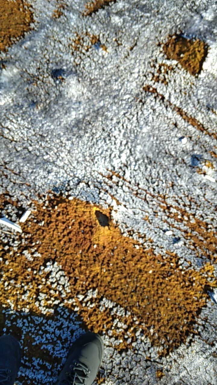 Tropical 924 100% Silicone Roof Coating Repair using Acrylic Resin by Morton Roofing, Inc.