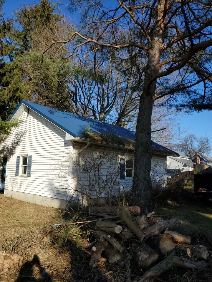 Storm Damaged Tree Removal  using Tree Removal by Mike Jones & Sons Tree Service LLC 