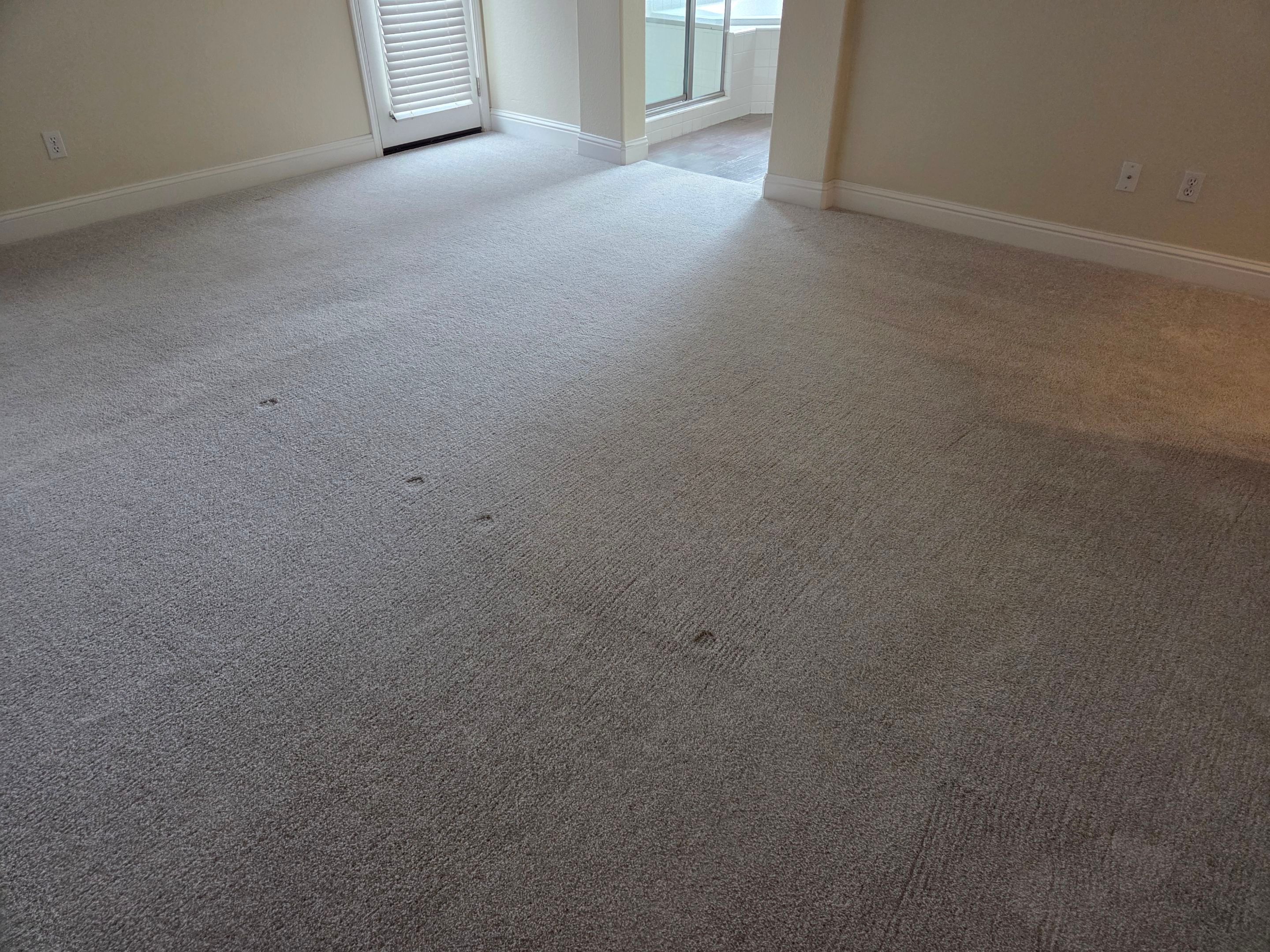 Carmichael Carpet Re-stretching and Cleaning by Ardent Carpet Restore LLC