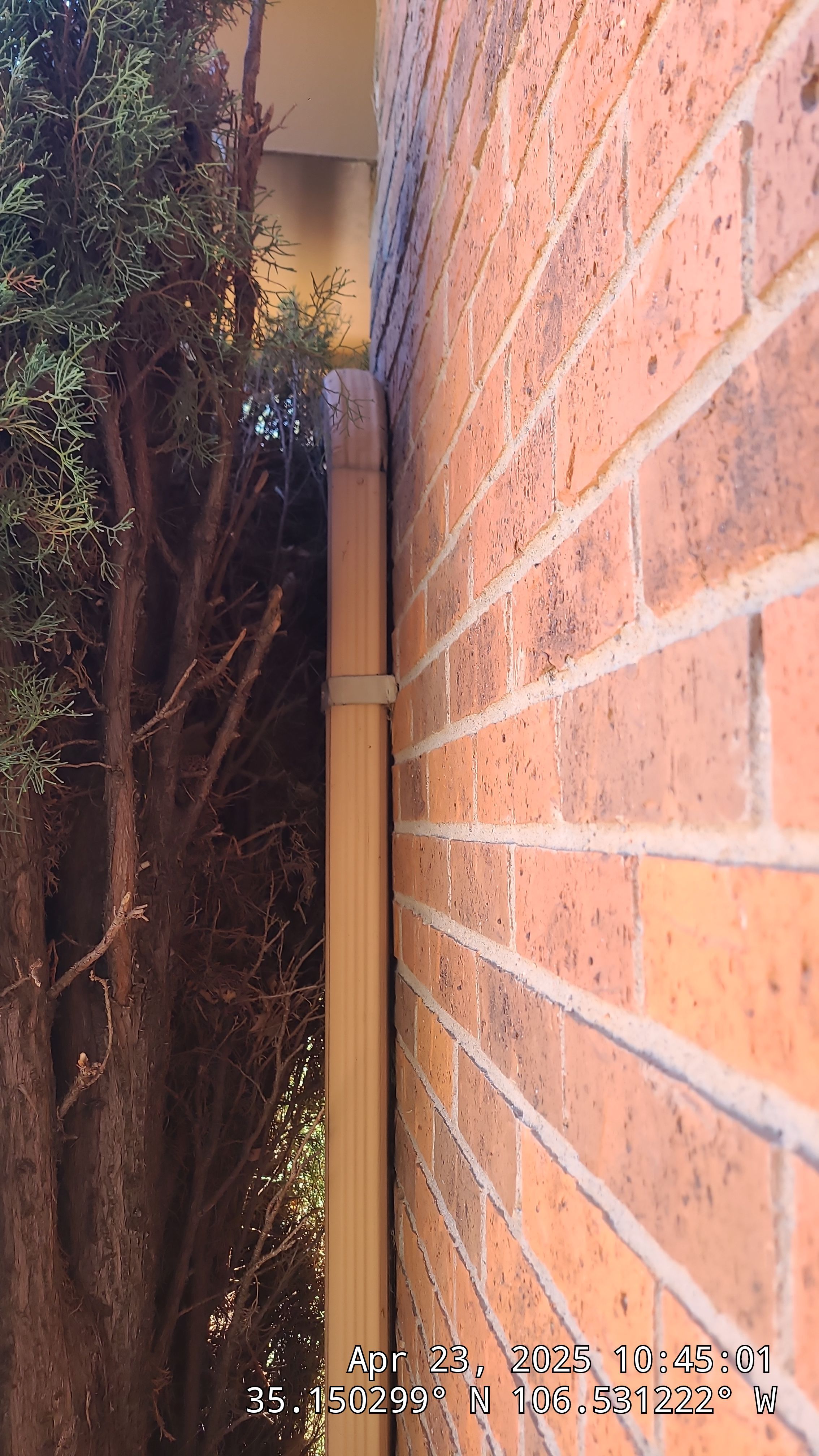 Academy Hills Dr NE, Albuquerque 87111 by Doyle Roof Masters