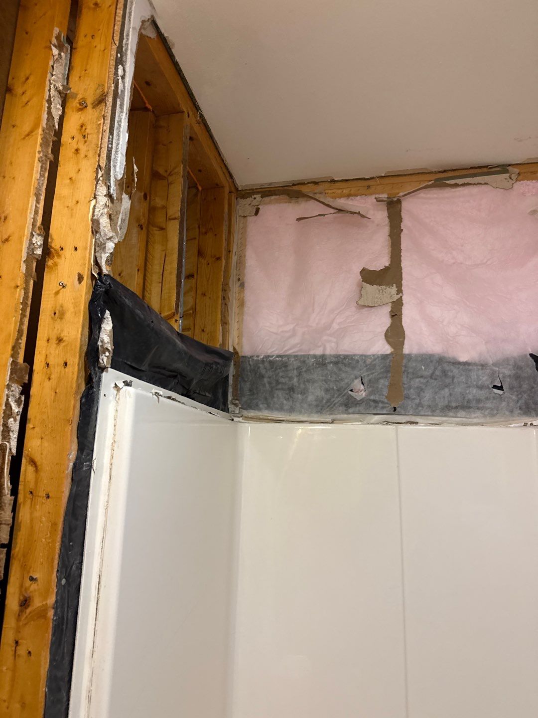 Bathroom and Crawlspace Water Damage and Mold by Healthy Home Solutions