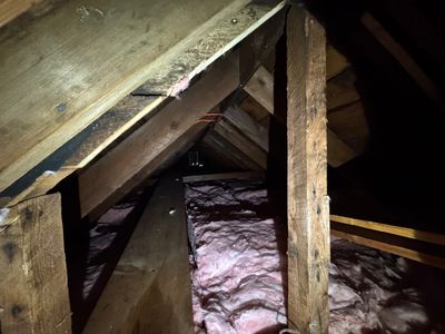 Attic Mold Remediation using Home Guarantee