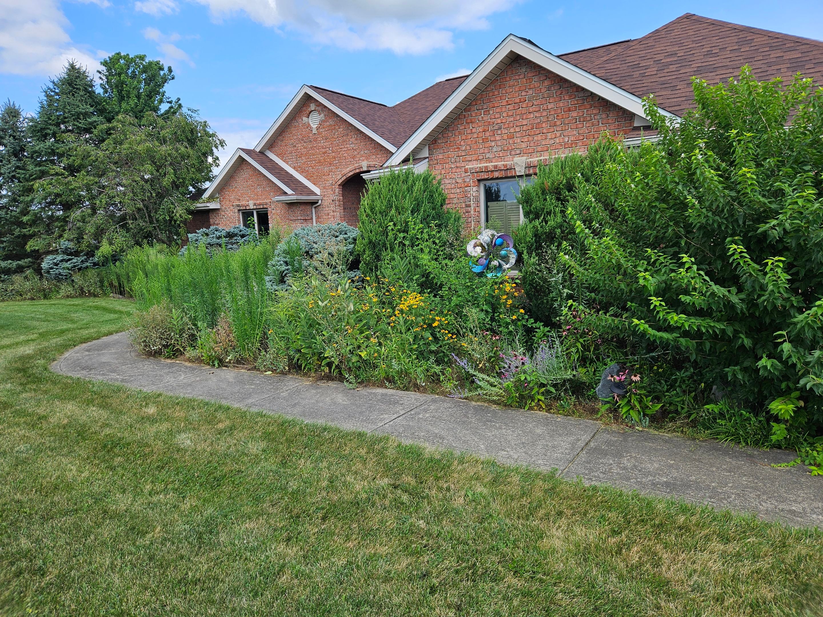 Overgrowth Takeover by Carrs lawn and landscape