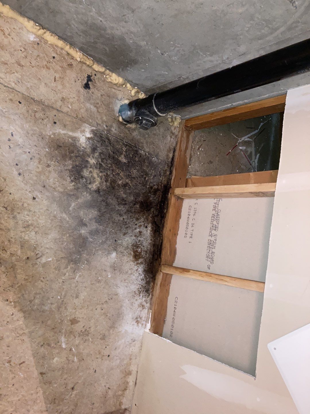 Mold Remediation in Kitchen by Accountable Home Services