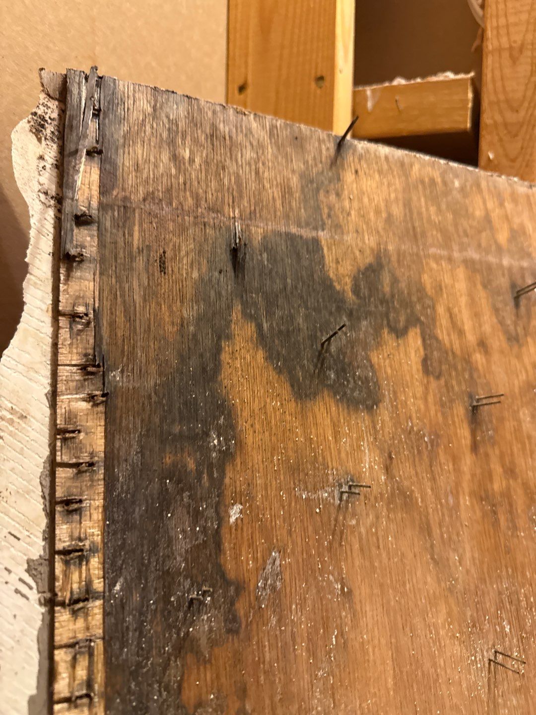 Bathroom and Crawlspace Water Damage and Mold by Healthy Home Solutions
