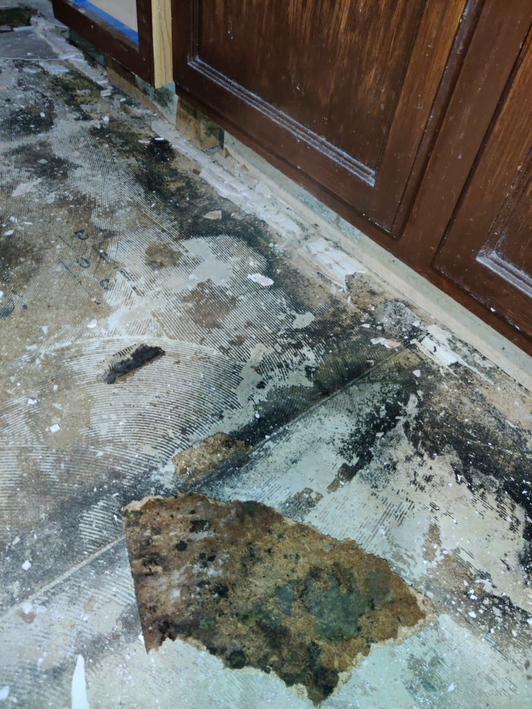 Mold Remediation in Kitchen by Accountable Home Services