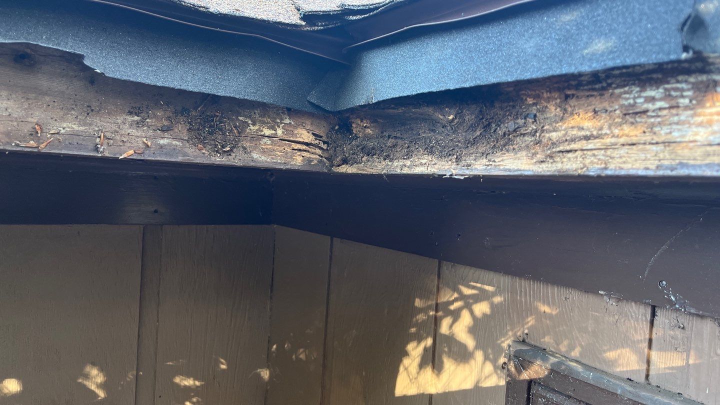 Residential Roofing Installation using Owens Corning TruDefinition Desert Tan by A Plus Exterior