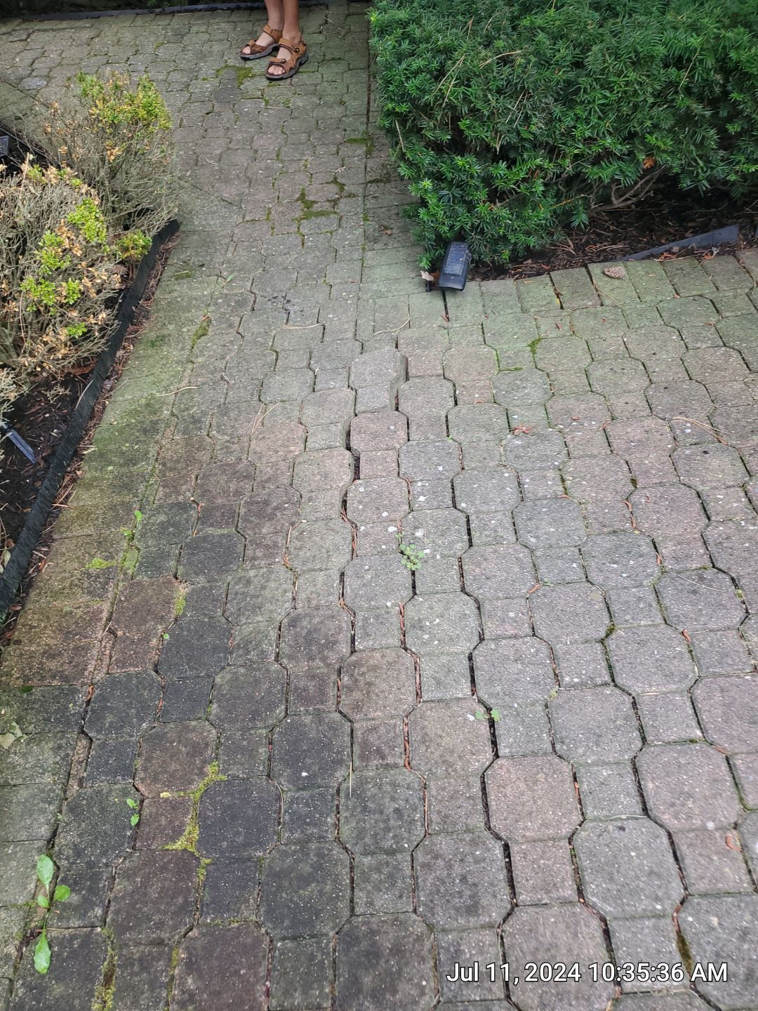 Brick paver repair, clean and seal by Northern Power Washing LLC.