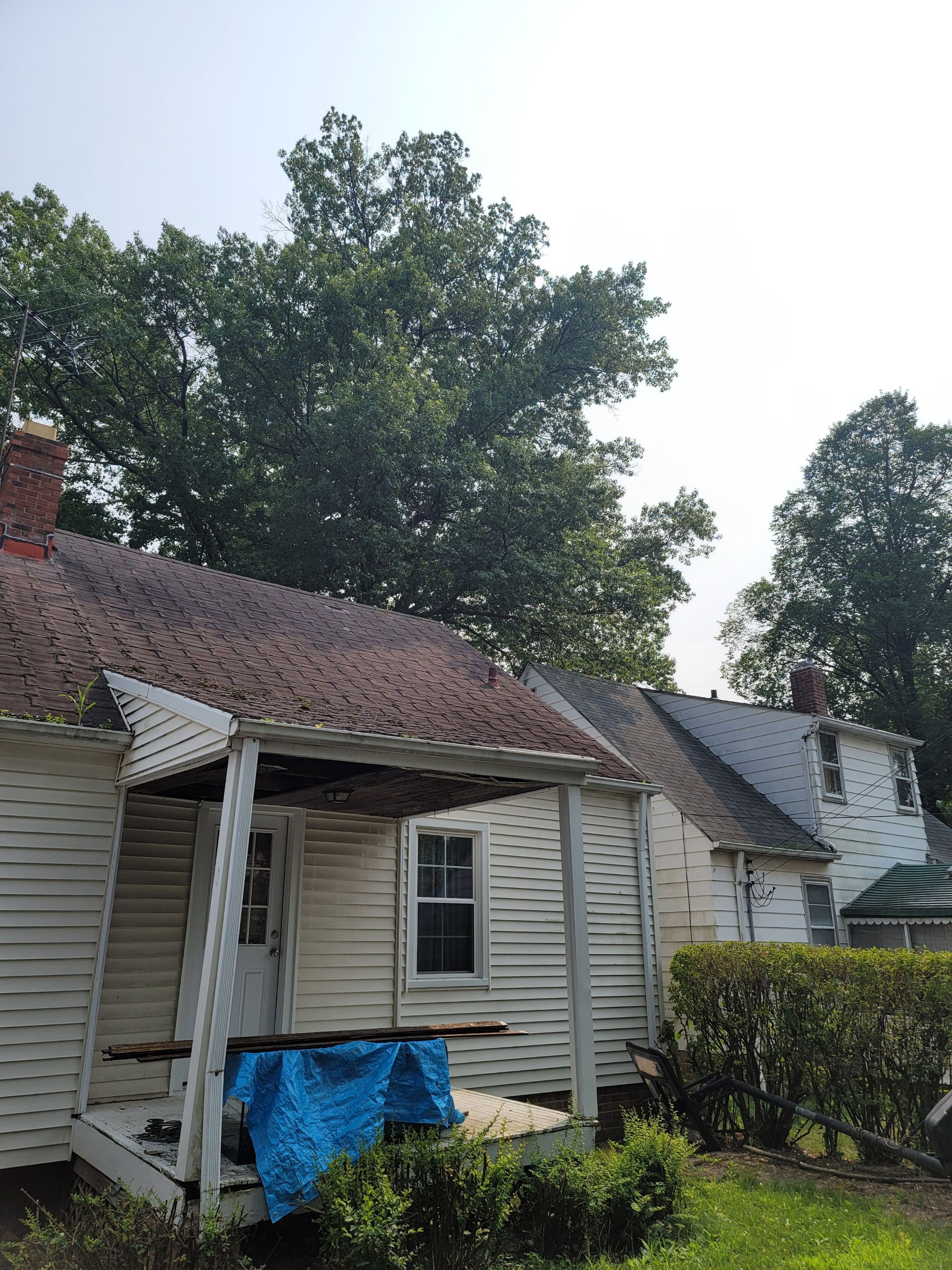 ATLAS PINNACLE COLOR: SCOTCHGARD BLACK DRIP EDGE: WHITE by Eagle Eye Roofing