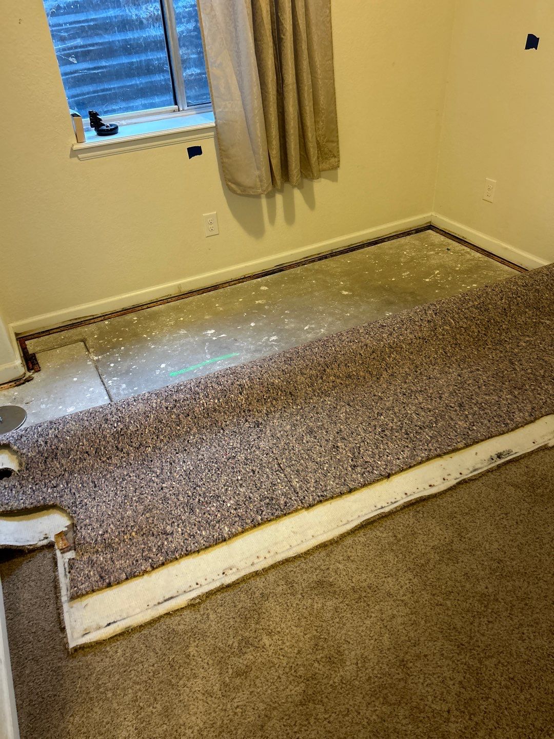 Mold Damage Project in Thornton by Accountable Home Services