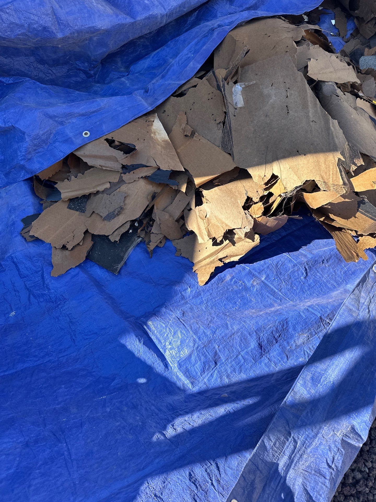 Silver Birch Shingles by Reimagine Roofing