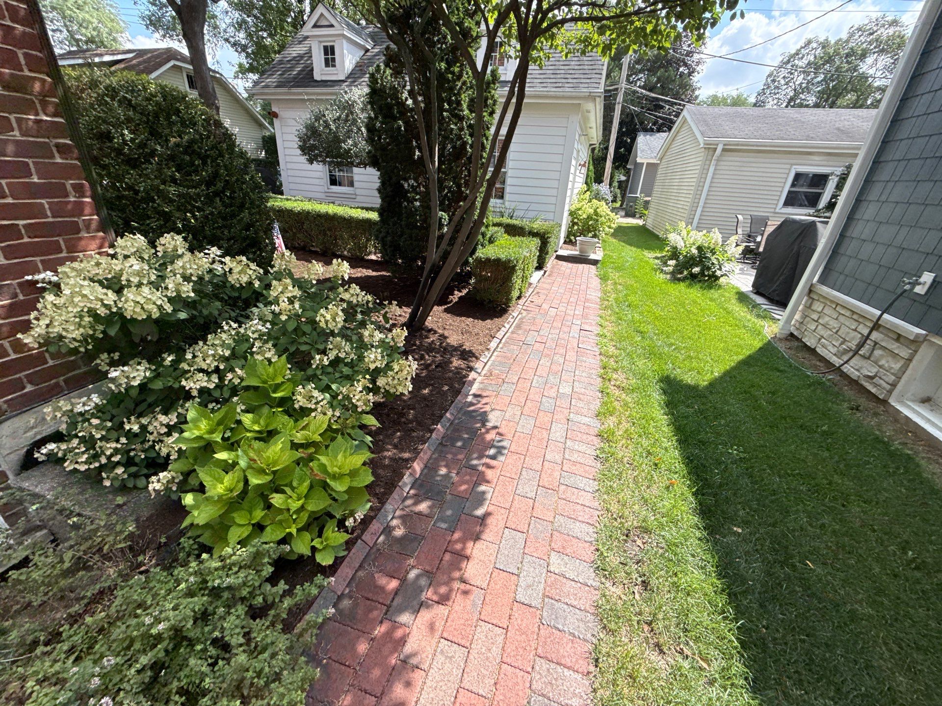 Jason G. - Arlington Heights, IL by A&N