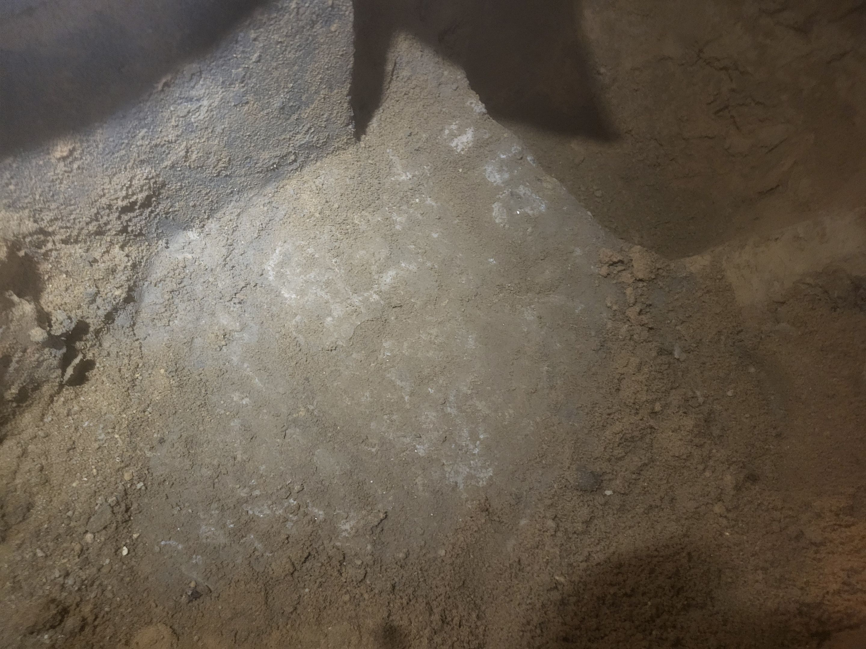 Project in Spring Grove by Patriot Crawl Space Repairs