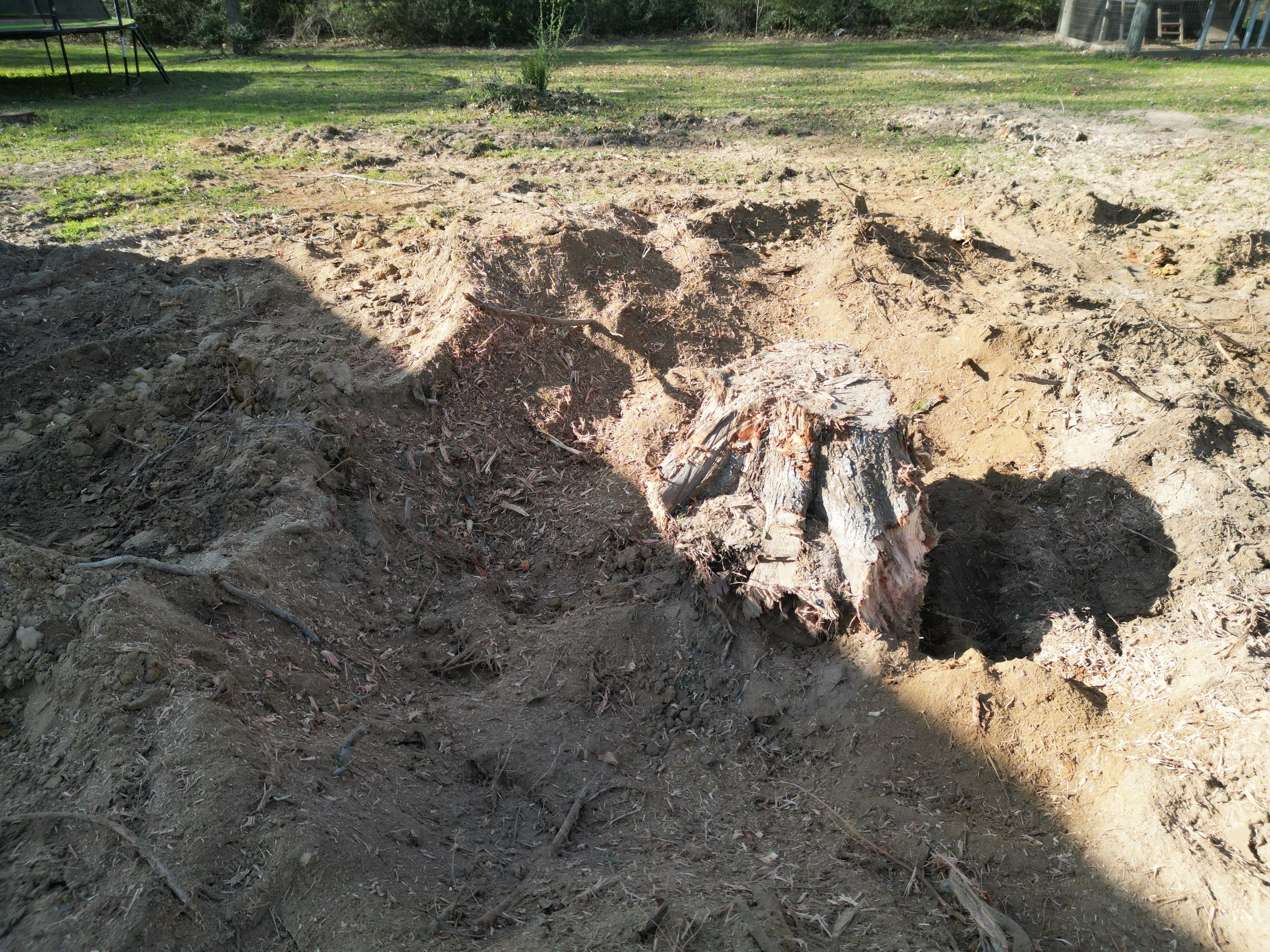 Stump Grinding & Removal In Project in Coldspring by Harden Enterprise Services LLC