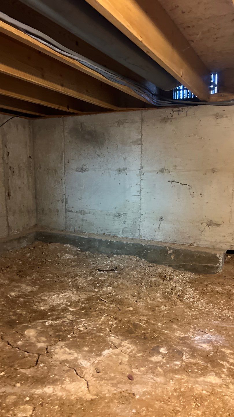 Mold Damage by Accountable Home Services