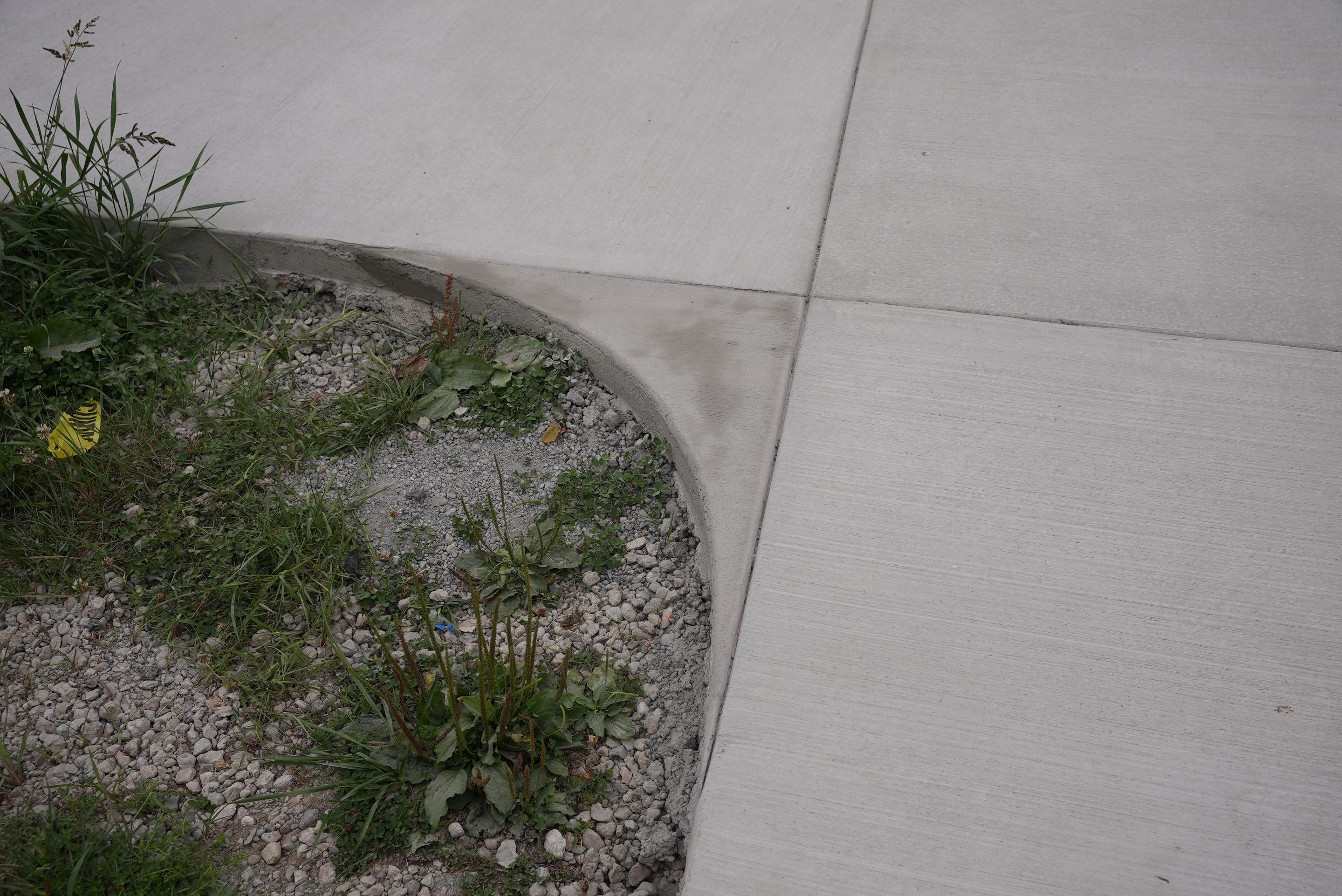 Lauren | Concrete Driveway, Back Patio & Asphalt Patch Repair  by Jireh Asphalt & Concrete Inc 