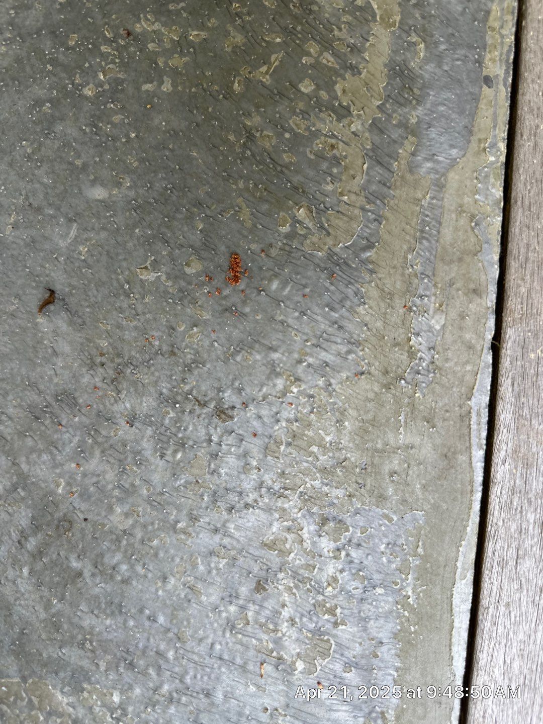 Concrete using TopSeal by DuraSeal