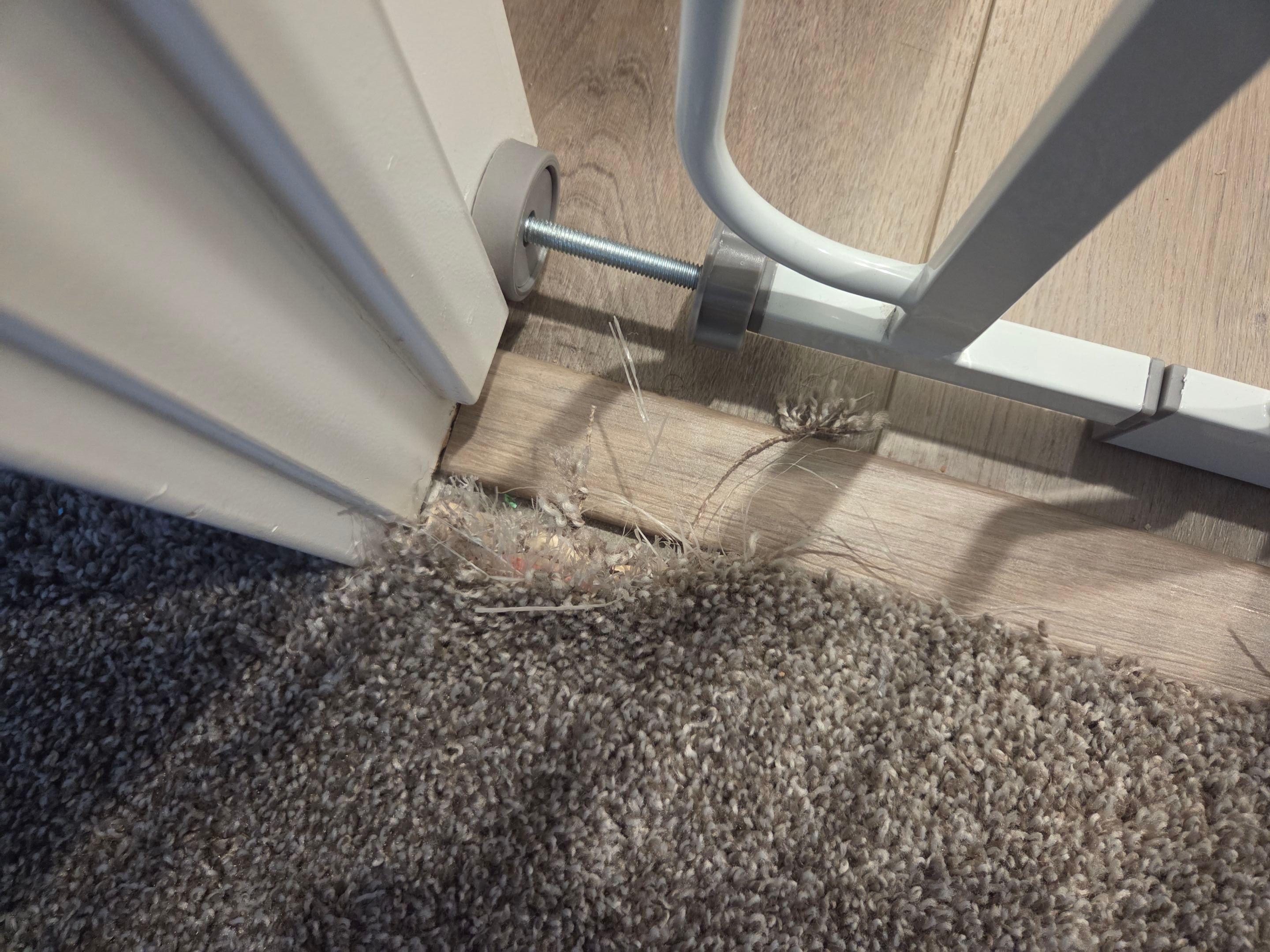 Repairing Frayed, Damaged Carpet by Ardent Carpet Restore LLC