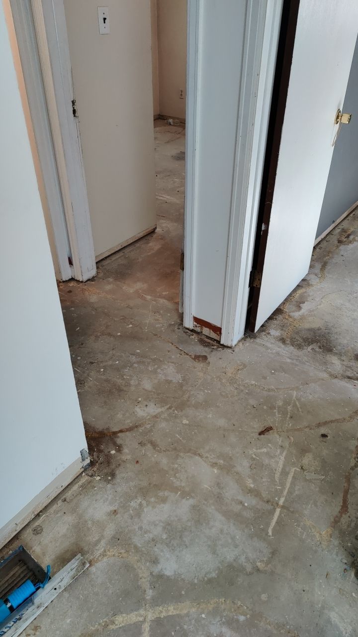 Mold Remediation by Accountable Home Services