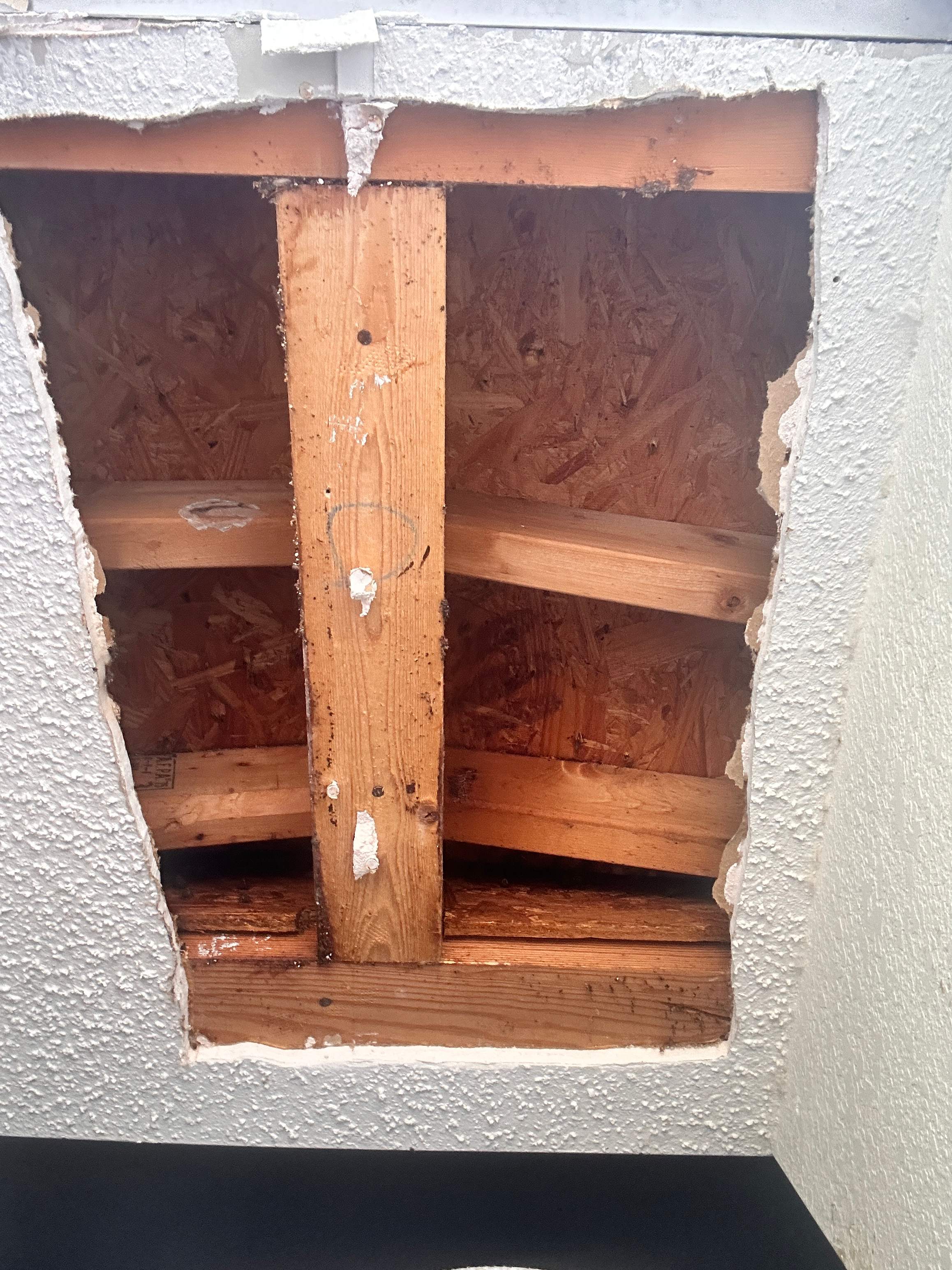 Sheetrock Bees by Rockwall Honey Bee Company
