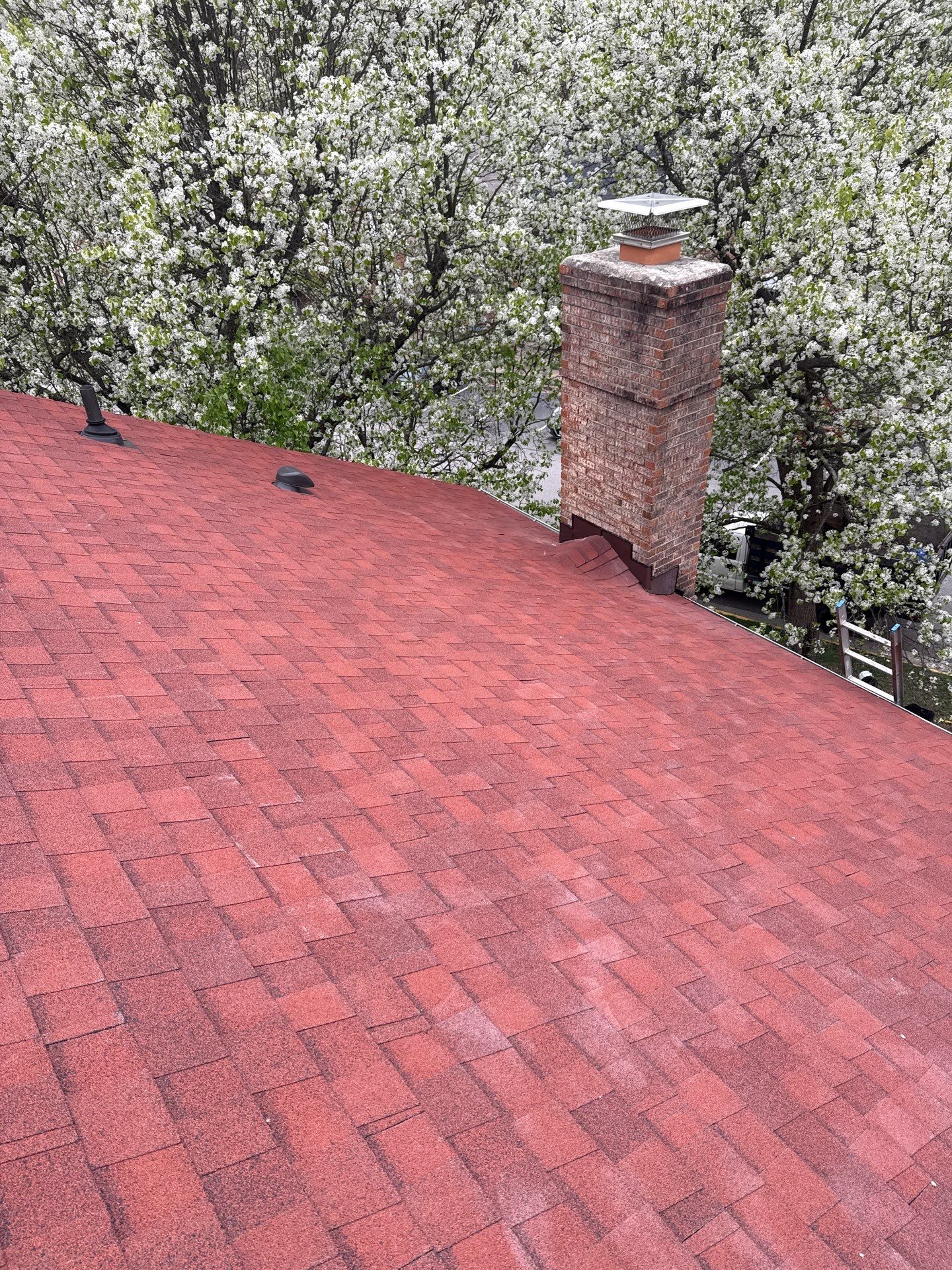 Springfield: Residential Roof Replacement with CertainTeed Landmark Pro in Max Def Red Oak by RM Banning, Inc.