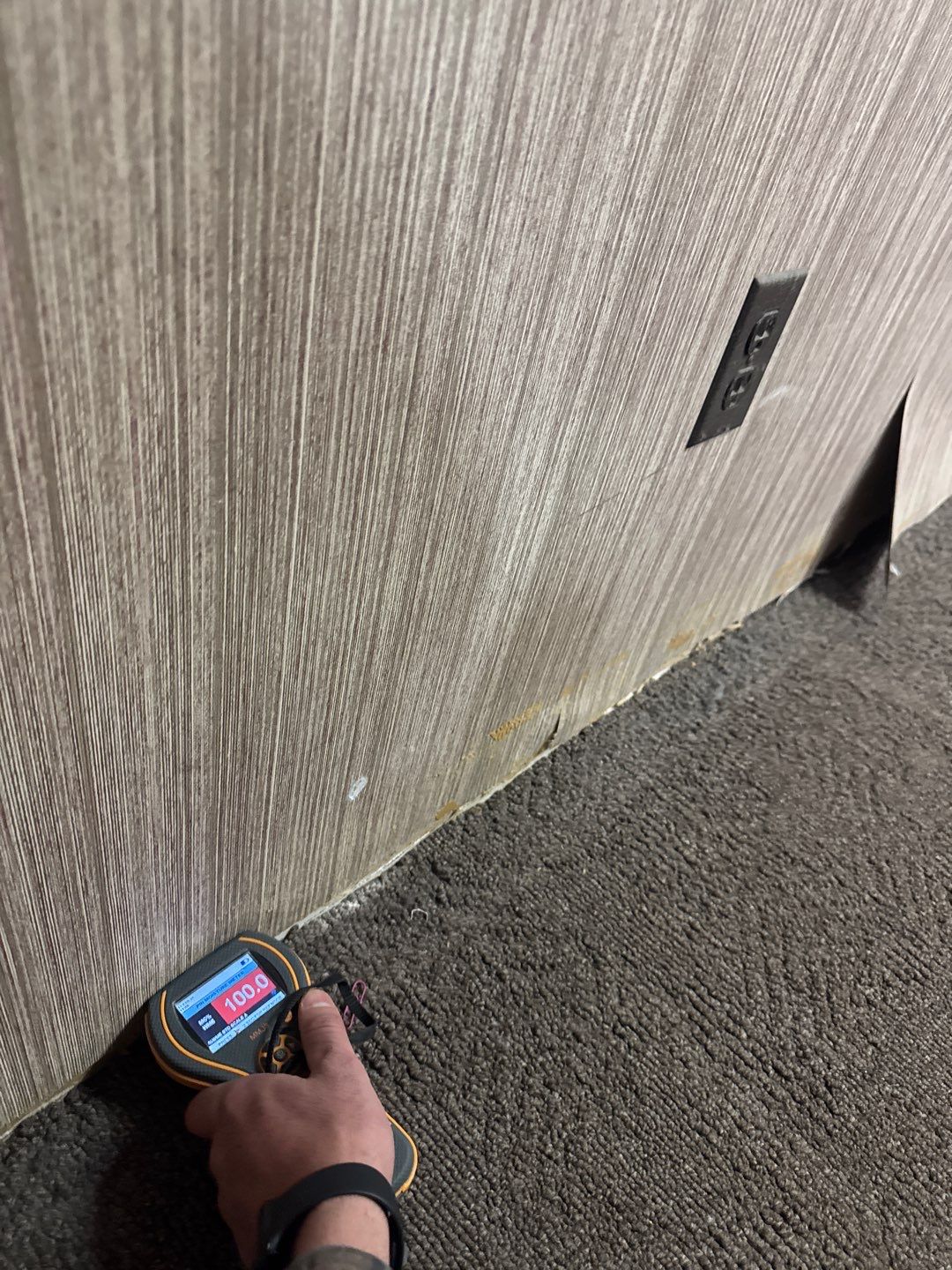 Project in Royal Oak by EzDry Water Mitigation & Property Restoration