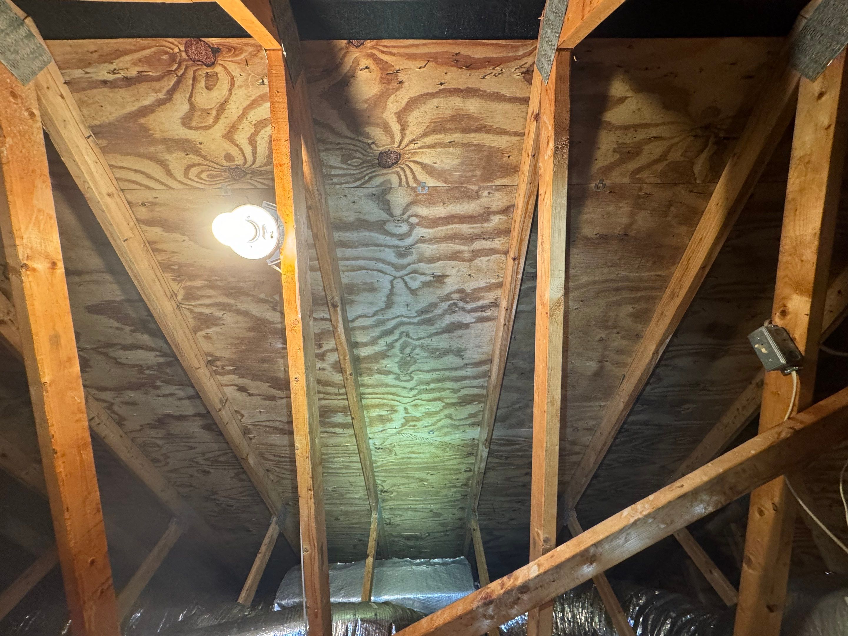 Attic Mold Remediation by Home Guarantee, LLC