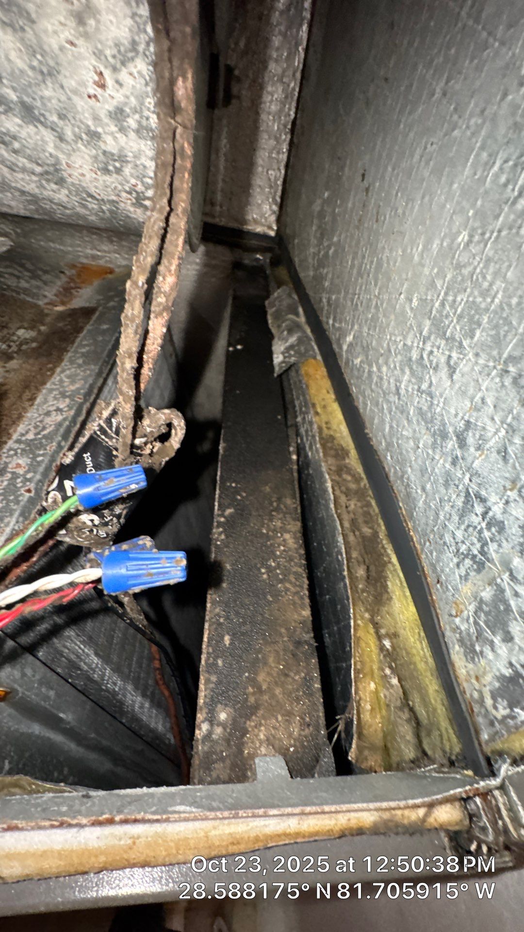 AIr Duct and Dryer Vent Cleaning in Montverde by Hygienic Air, Inc