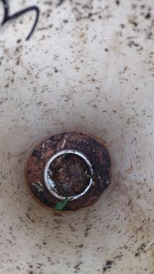 Project in Edmond