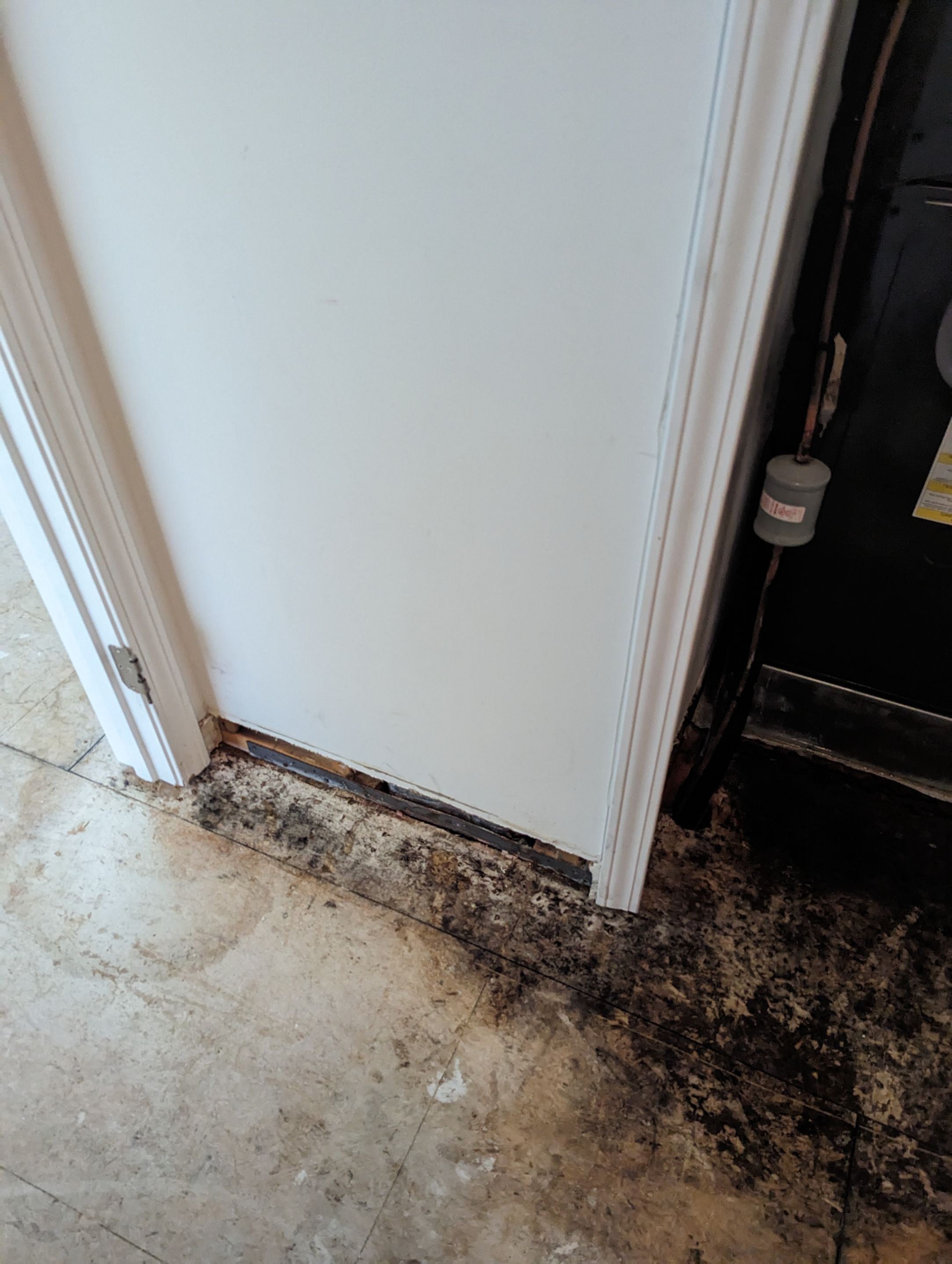 Emergency Service Water Damage in Paris Crossing, IN by ANR Restoration