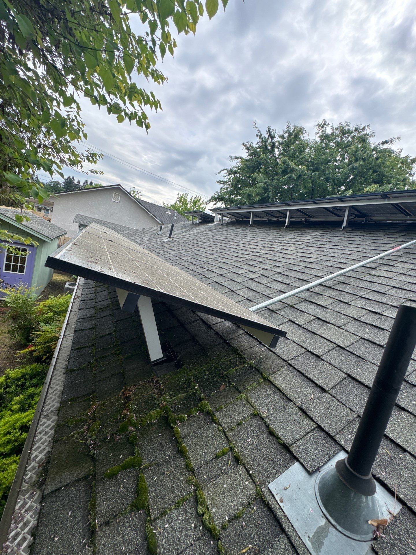 Roof Rejuvenation using Roof Maxx Treatment by Roof Maxx of Folsom