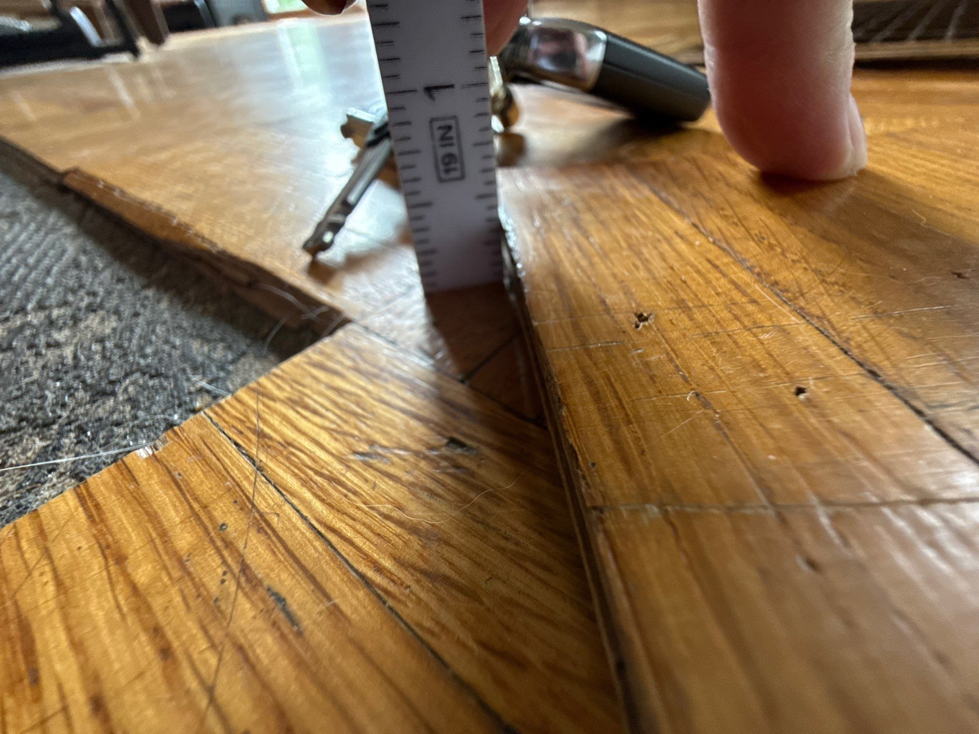 Parque restoration by Ann Arbor Hardwoods 