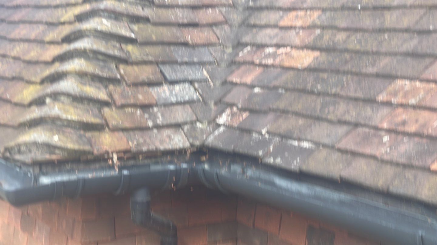 Roof Clean - Biocide Treatment using Honda 15lpm Low Pressure Washing Machine by Ges Exterior Cleaning ltd