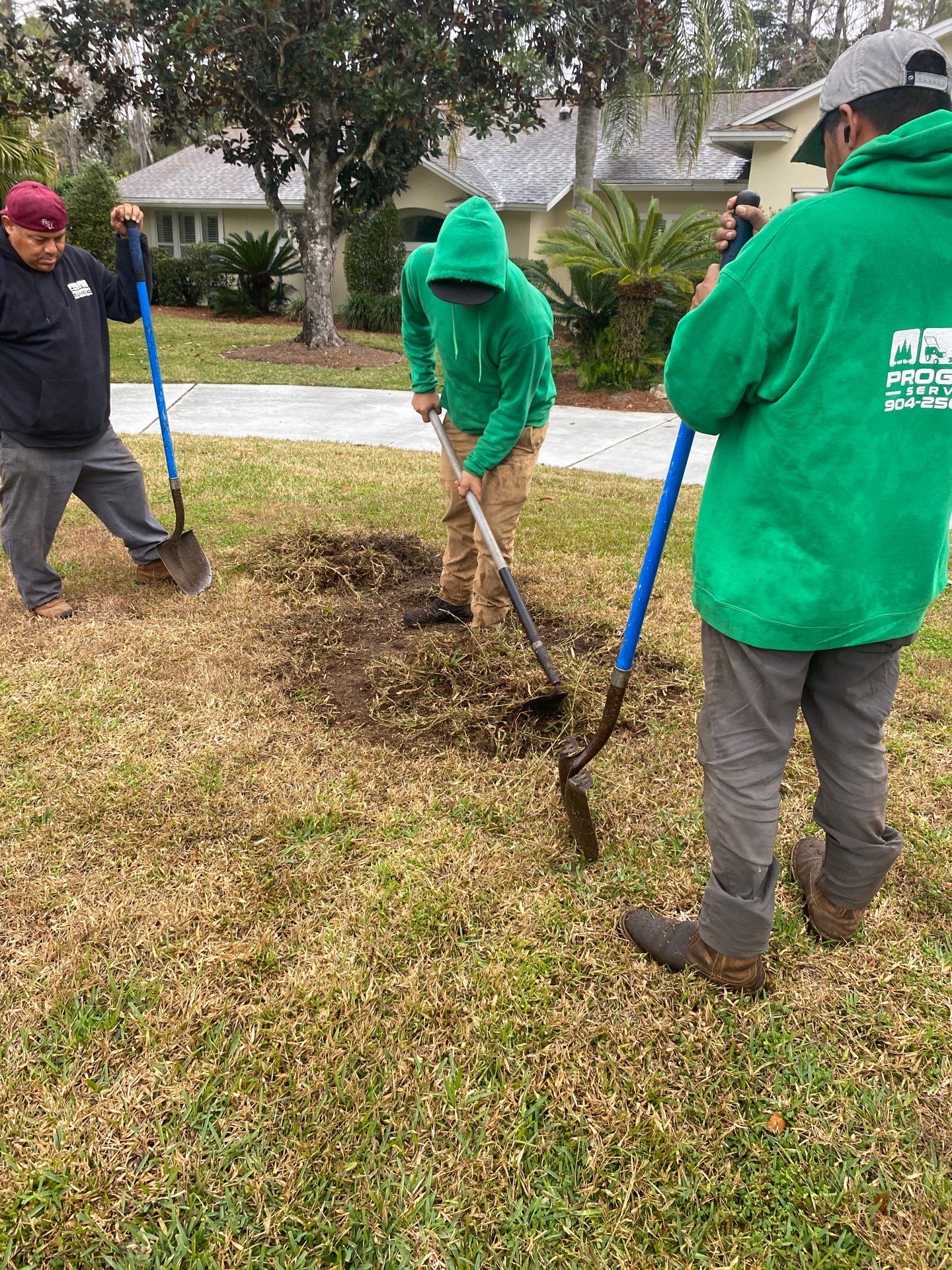 Deerwood | Live Oak Planting Project  by ProGreen Services