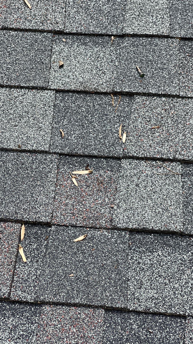 Clifton - CertainTeed Landmark Charcoal Black by RM Banning, Inc.