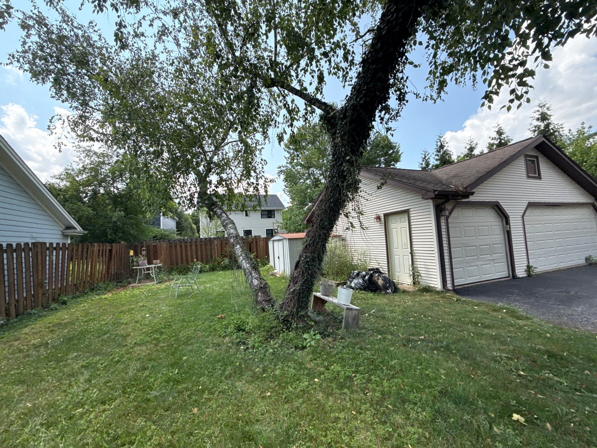Sean D. - Arlington Heights, IL by A&N