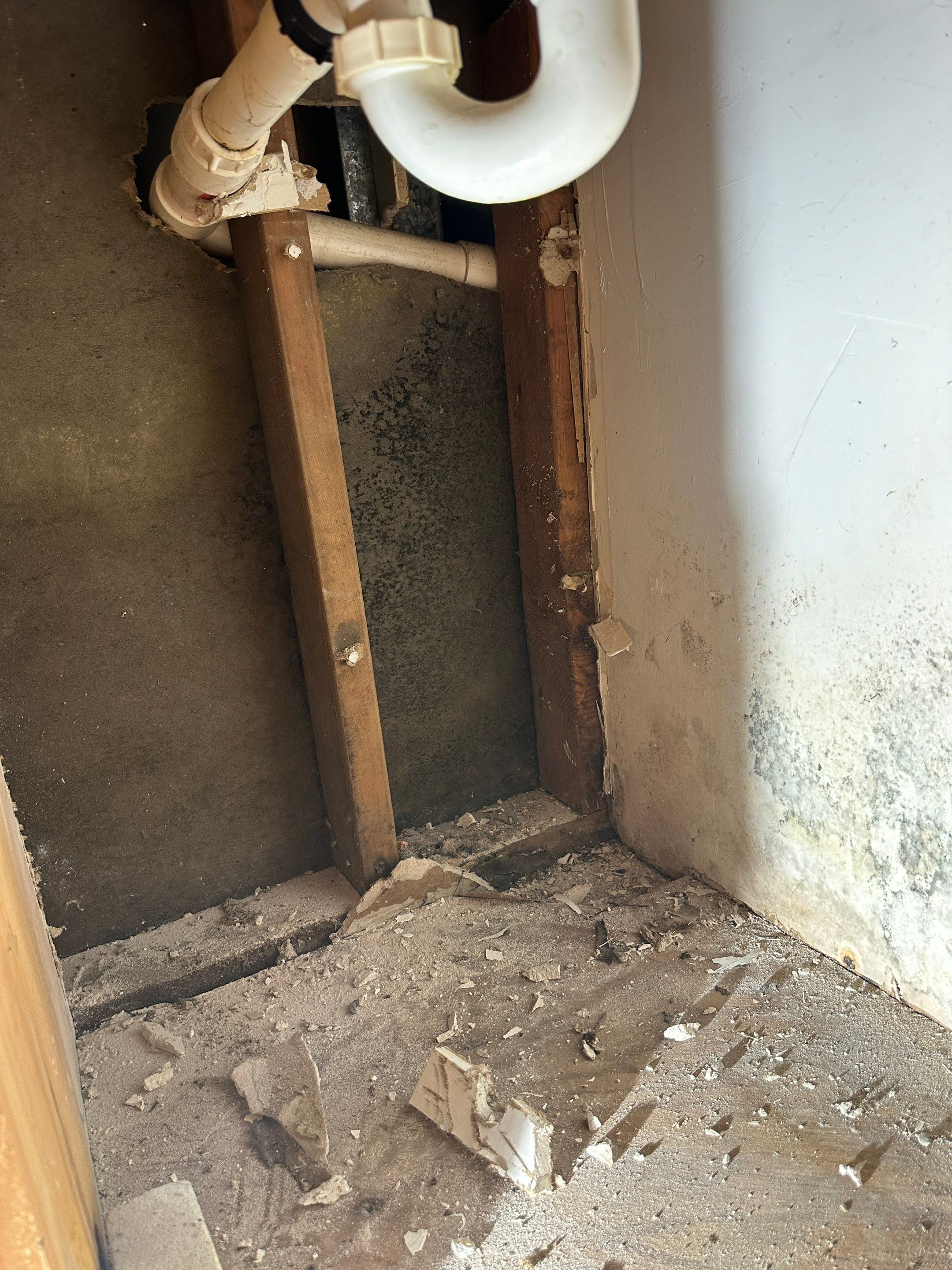 Basement Mold Remediation by Home Guarantee, LLC