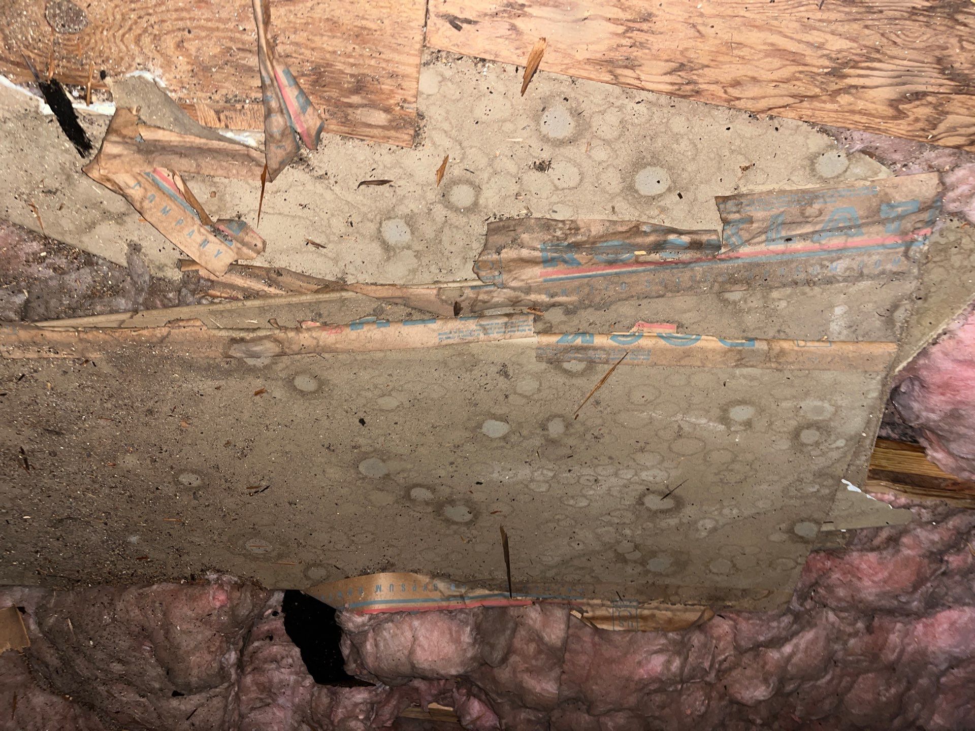 Addressing Attic Mold and Upgrading Insulation in Cranberry Township, PA 16066 by Home Environment Solutions