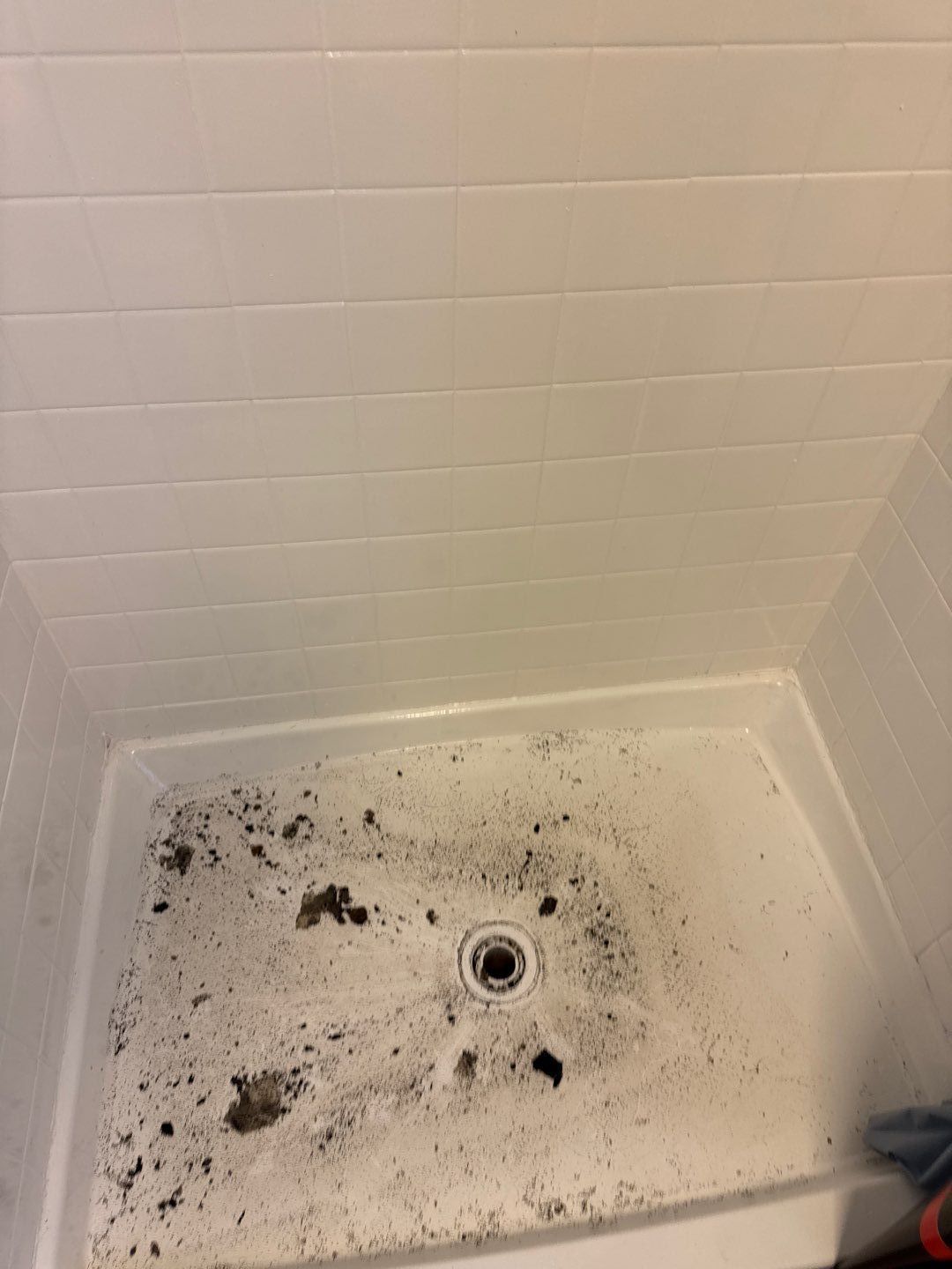 Sewer Drain Back in Basement by Chicagoland Water Medics