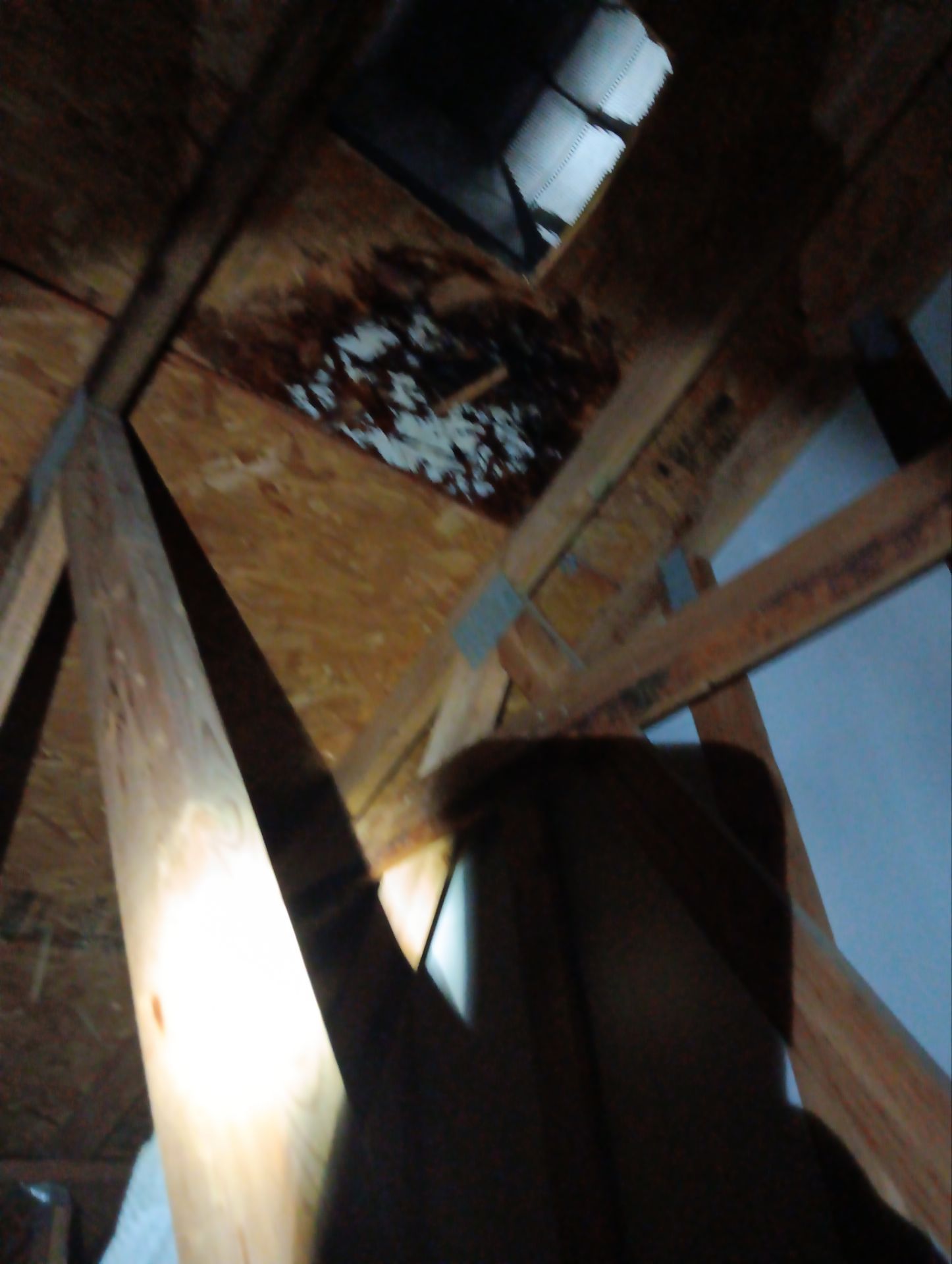 Hail Damage using Owen's Corning Duration (Lifetime) Shingles by Roof Repair Company
