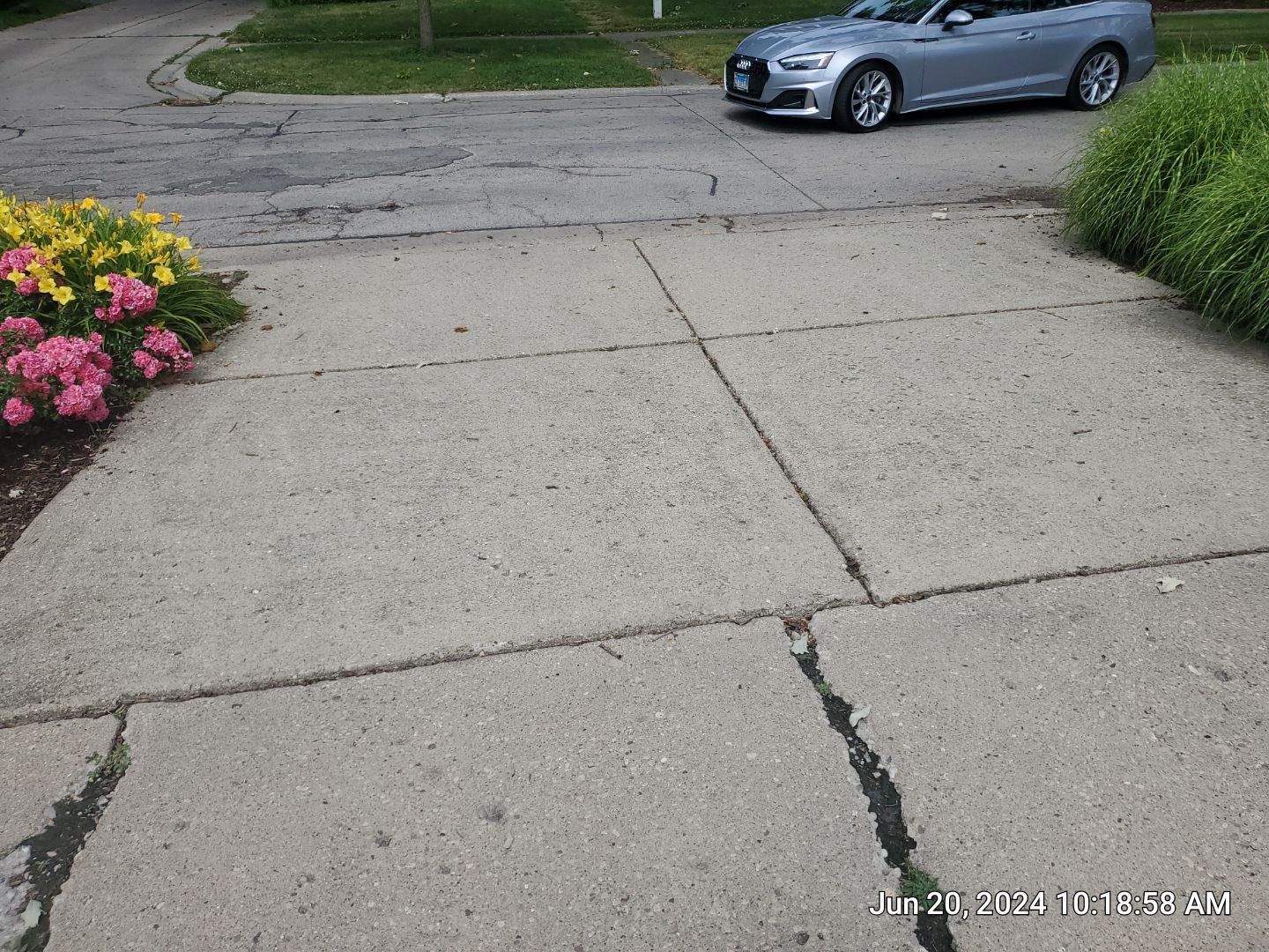 concrete cleaning using Algaecide, soft wash soap by Northern Power Washing LLC.