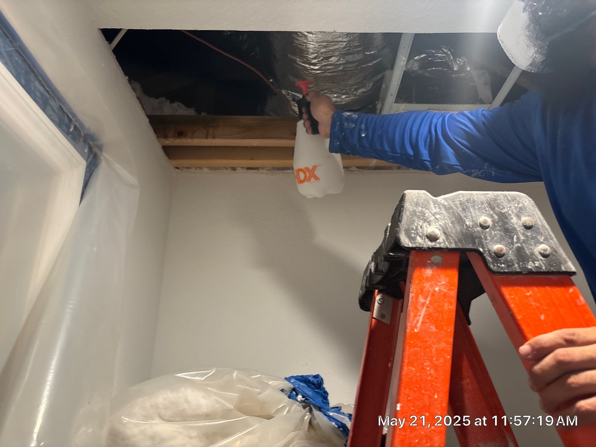 Mold Removal by Ampm Restoration Services