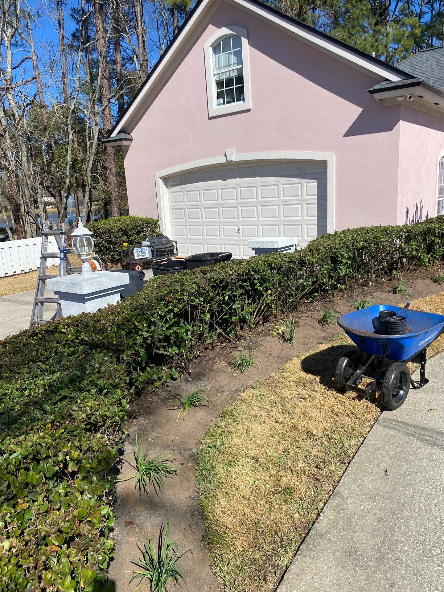 Deerwood Resident | Tree Removal & Clean-Up by ProGreen Services