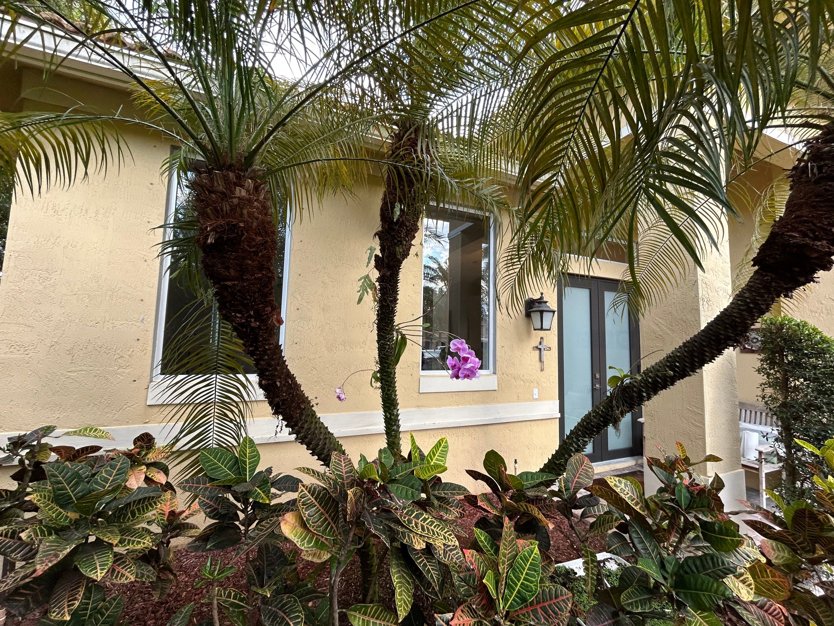 Replacement of windows and doors Weston, FL  by ASP SuperHome