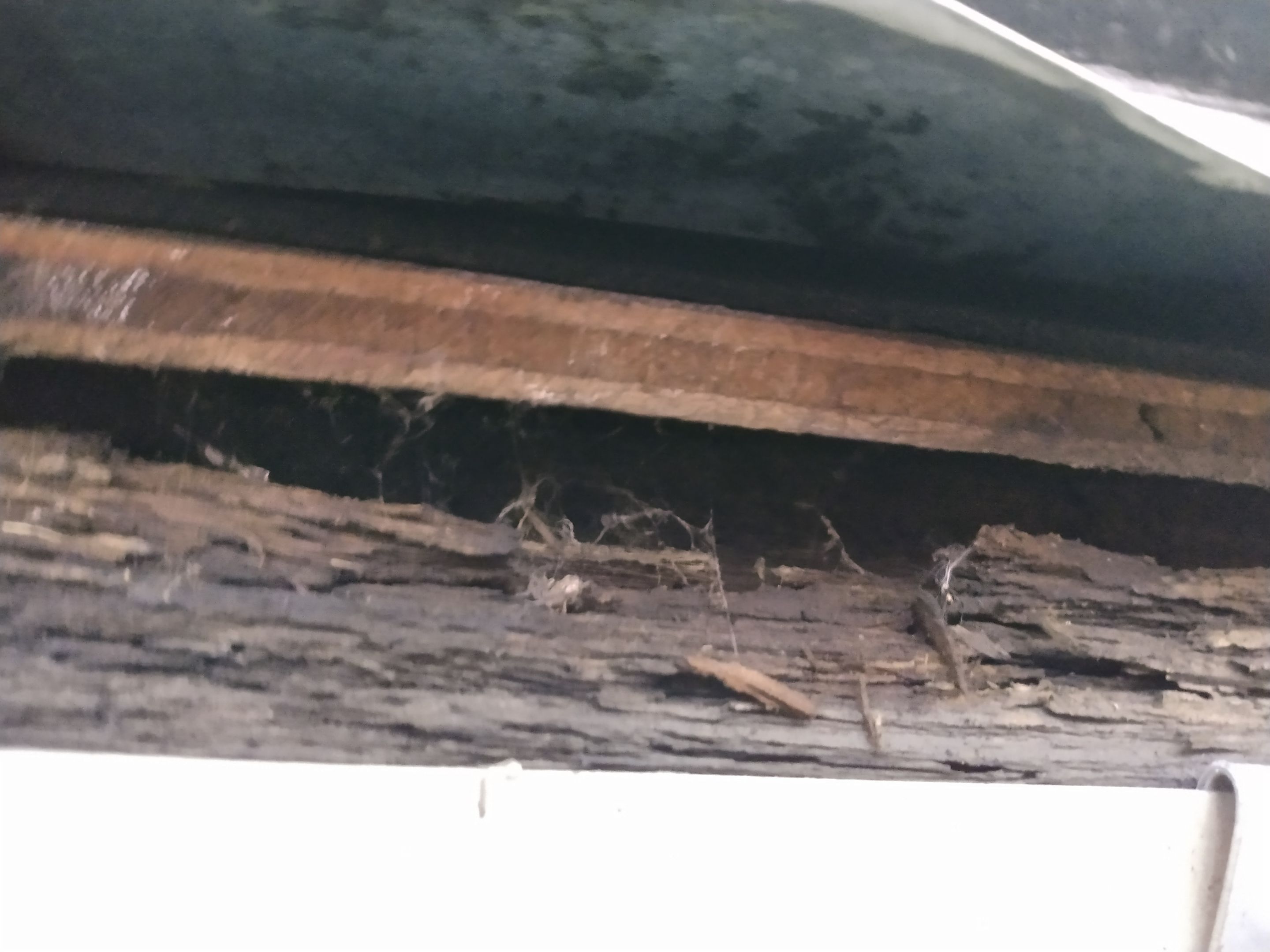 Barnaby Ofori by Constructive Project Management