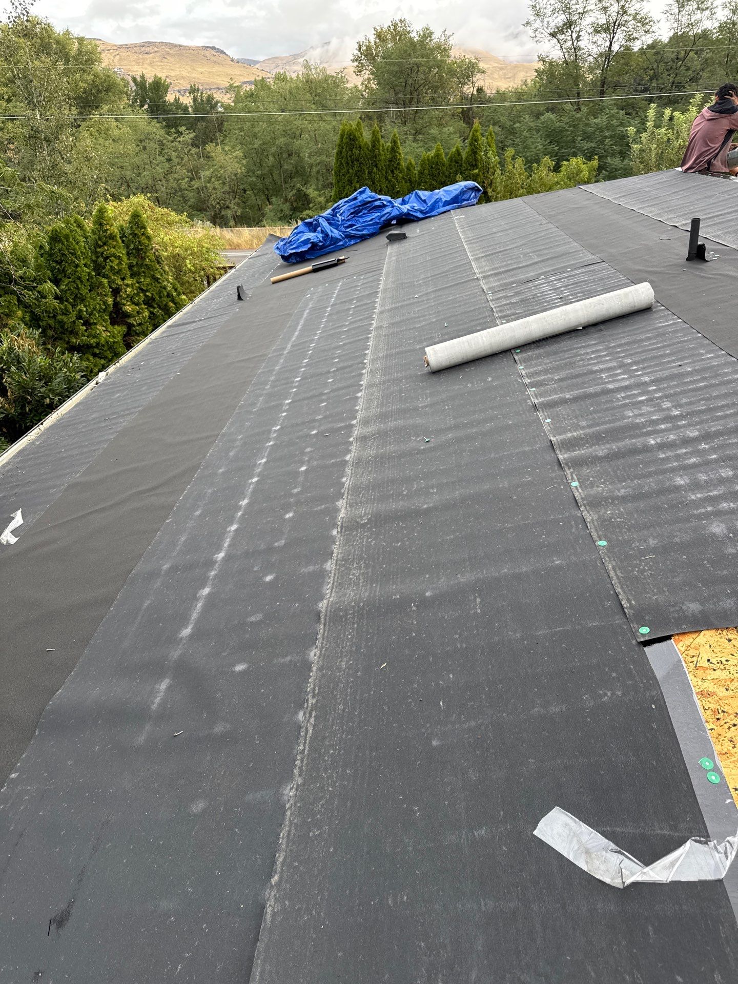 Residential Roof Replacement with Architectural Shingles in Boise by Olive Roofing