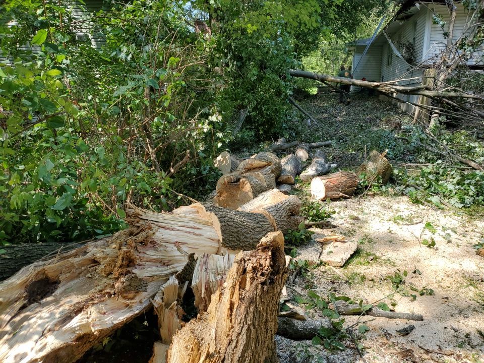 Storm Damaged Tree Removal  by Mike Jones & Sons Tree Service LLC 